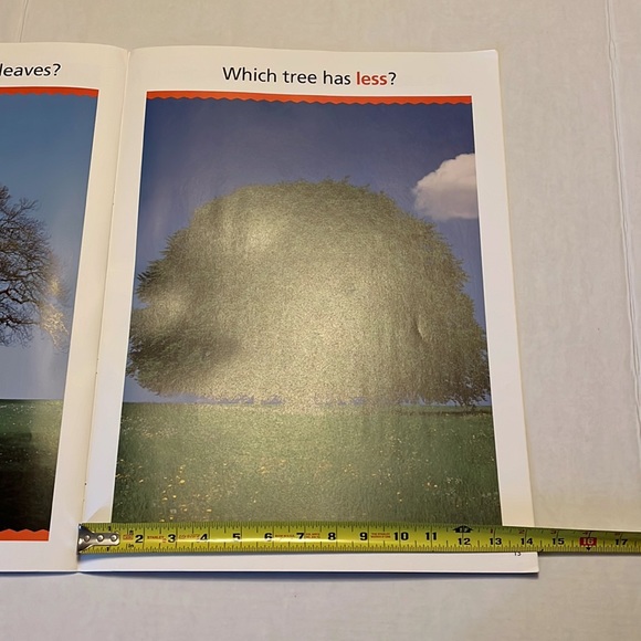 BIG BOOK: More or Less - Picture 6 of 6